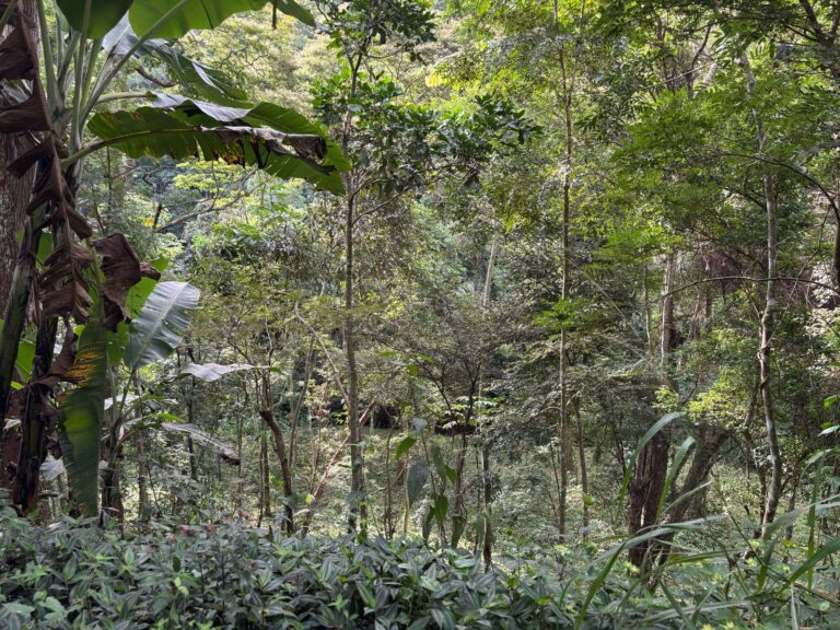 104f4841-a337-4ec0-8f41-41a049cf147c