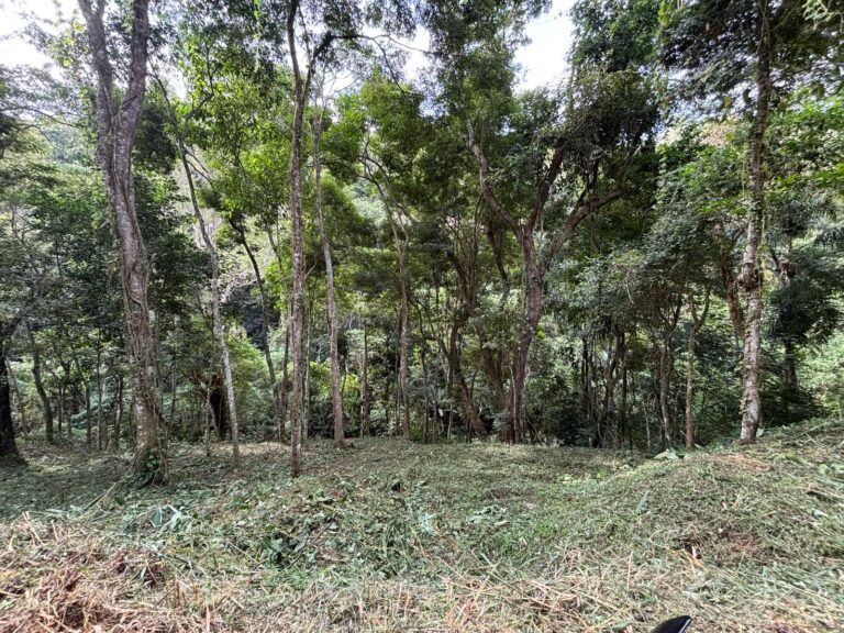 64ee2b5e-334f-475d-8139-8f0d7e8be920