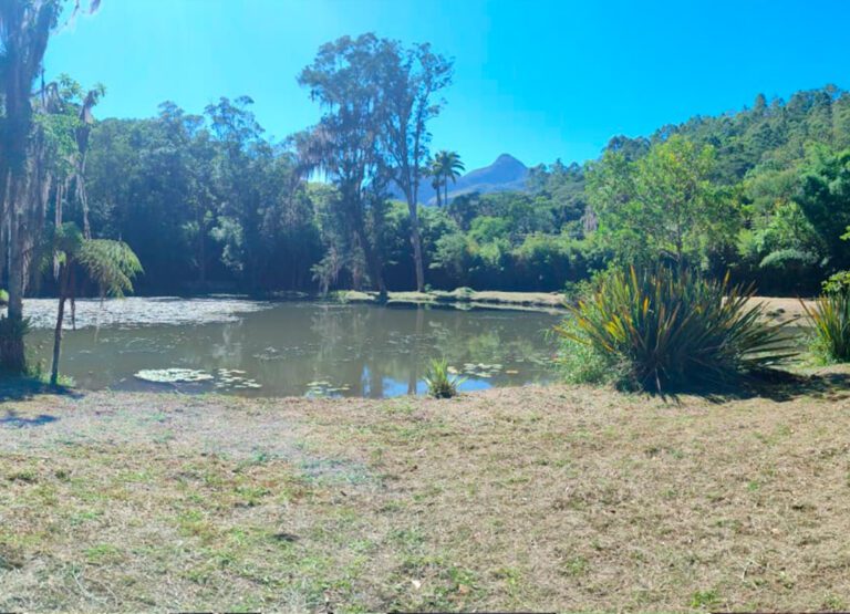 terreno petropolis com lago13